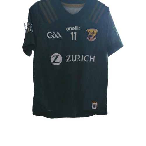 Wexford gaa commemoration - wexford,