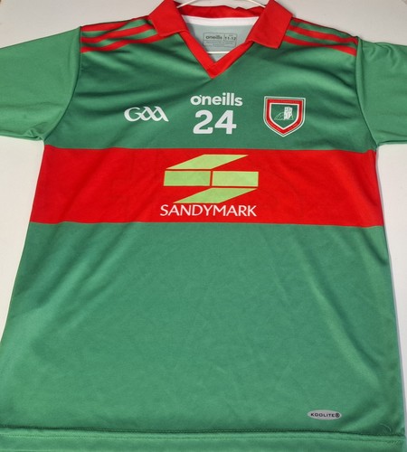 Saint finian gaa - finian's,