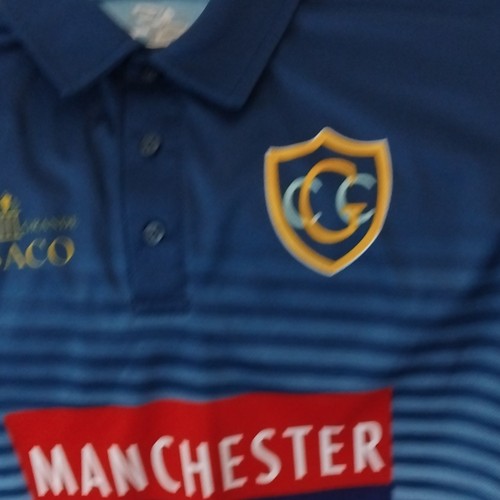 Blue gaa adults short sleeve - ,