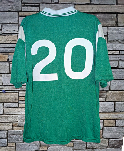 2000 limerick hurling gaa - 2000,