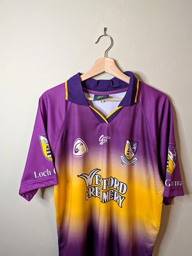 Wexford 2003 gaa - 2003-04,